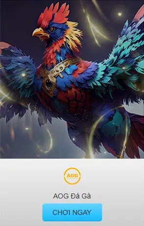 Đá gà KUWIN Xem Trực Tiếp Và Cược Ngay Tức Thì 8 Đá gà AOG giải đấu đỉnh cao