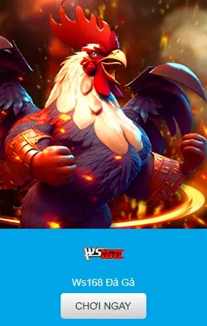 Đá gà KUWIN Xem Trực Tiếp Và Cược Ngay Tức Thì 7 Đá gà WS168