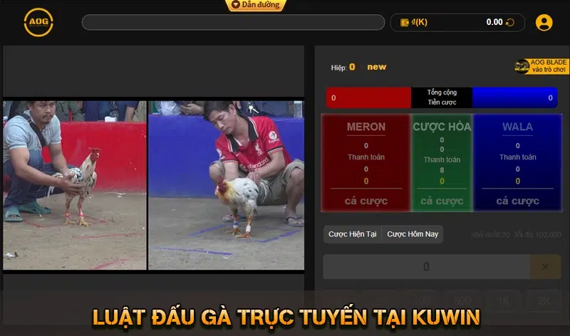 Đá gà KUWIN Xem Trực Tiếp Và Cược Ngay Tức Thì 9 Luật Đấu Gà Trực Tuyến Tại KUWIN